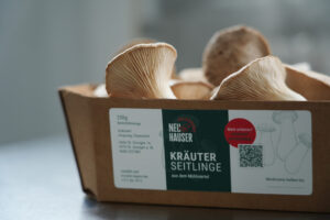 Nahaufnahme von Packaging-Design auf Pilzverpackung