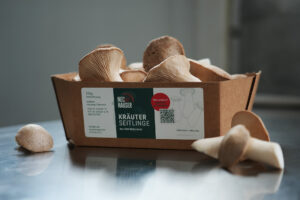 Aufnahme von Packaging-Design auf Pilzverpackung